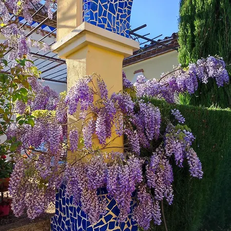 Andalusian Experience فيلة