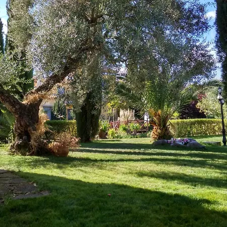 Andalusian Experience