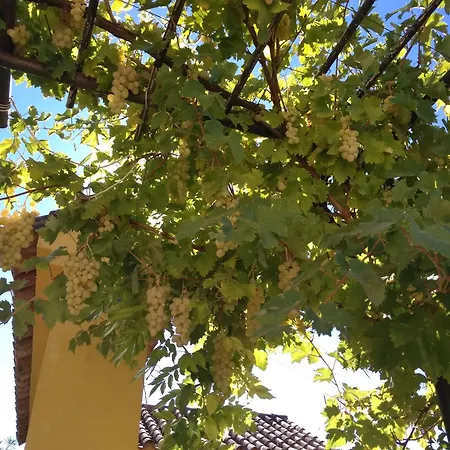 Andalusian Experience Βίλα