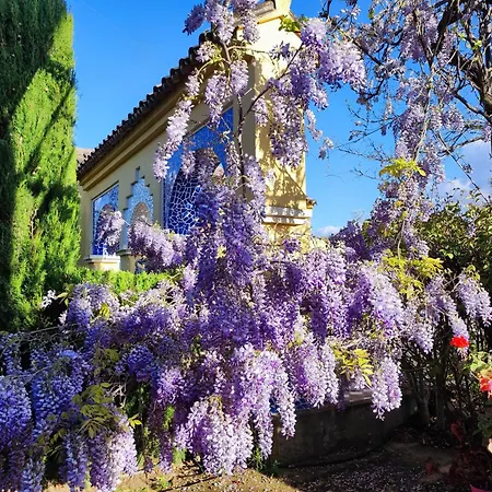 Βίλα Andalusian Experience *