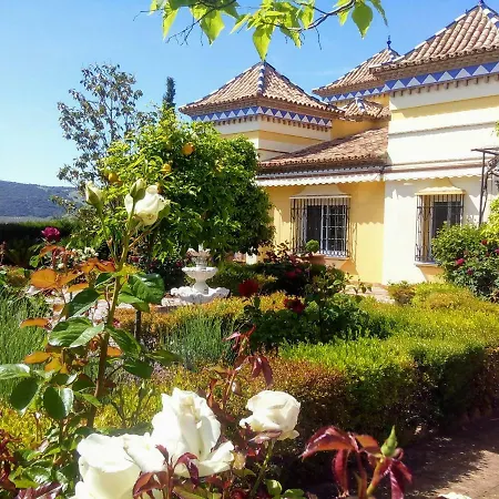 Andalusian Experience * Ronda