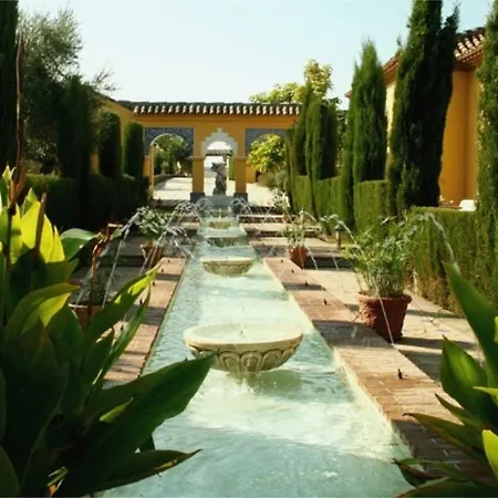 Andalusian Experience