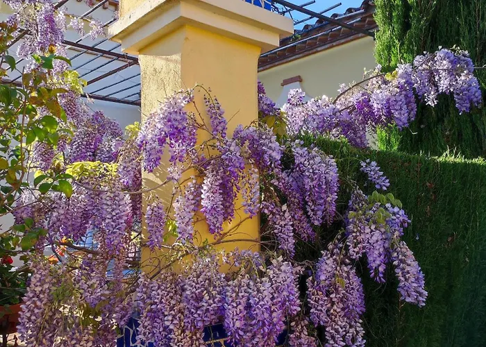 Andalusian Experience Βίλα