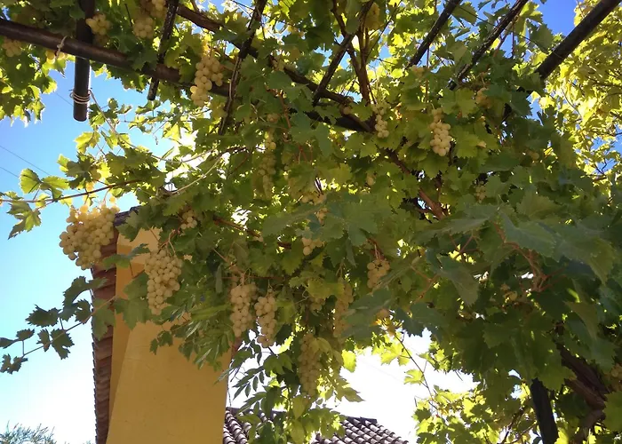 Andalusian Experience Βίλα