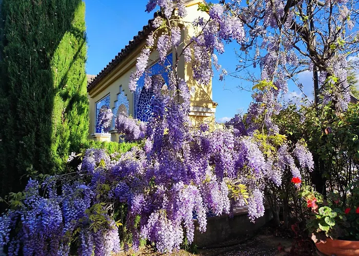 Βίλα Andalusian Experience *