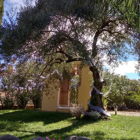 Andalusian Experience